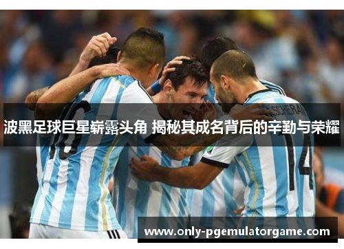 波黑足球巨星崭露头角 揭秘其成名背后的辛勤与荣耀