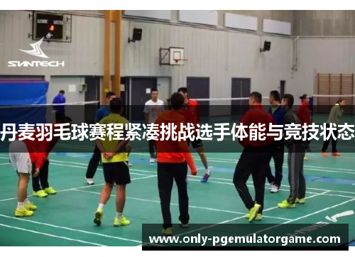 丹麦羽毛球赛程紧凑挑战选手体能与竞技状态