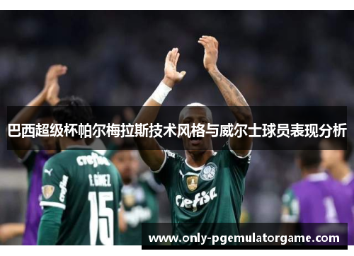 巴西超级杯帕尔梅拉斯技术风格与威尔士球员表现分析