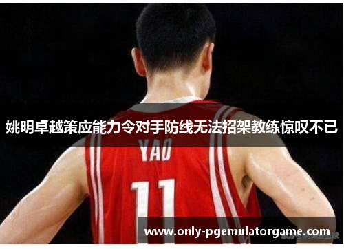 姚明卓越策应能力令对手防线无法招架教练惊叹不已