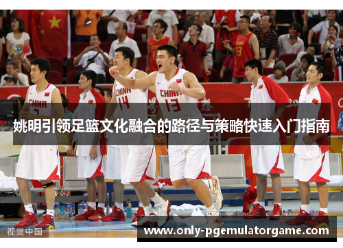 姚明引领足篮文化融合的路径与策略快速入门指南