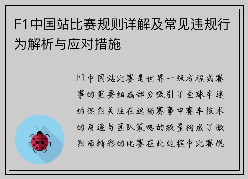 F1中国站比赛规则详解及常见违规行为解析与应对措施