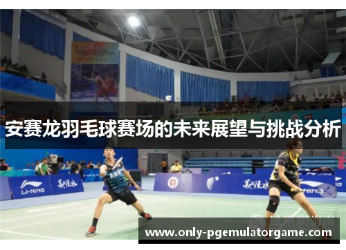 安赛龙羽毛球赛场的未来展望与挑战分析