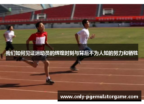 我们如何见证运动员的辉煌时刻与背后不为人知的努力和牺牲