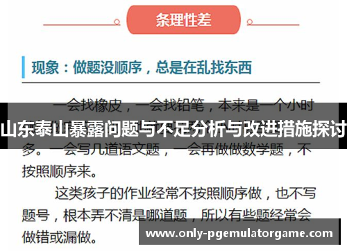山东泰山暴露问题与不足分析与改进措施探讨