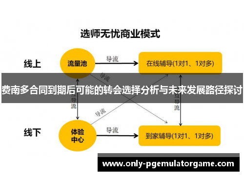 费南多合同到期后可能的转会选择分析与未来发展路径探讨