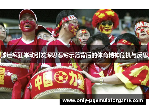 球迷疯狂举动引发深思恶劣示范背后的体育精神危机与反思