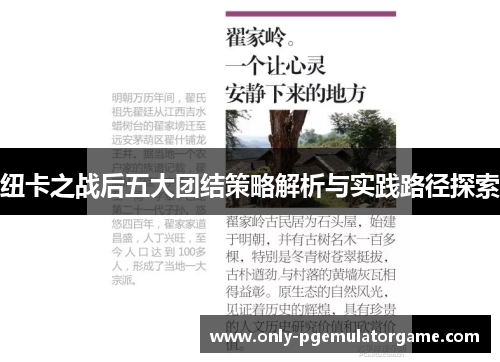 纽卡之战后五大团结策略解析与实践路径探索