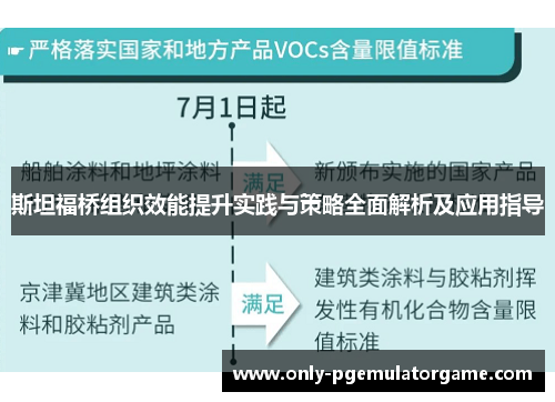 斯坦福桥组织效能提升实践与策略全面解析及应用指导