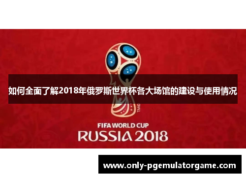 如何全面了解2018年俄罗斯世界杯各大场馆的建设与使用情况