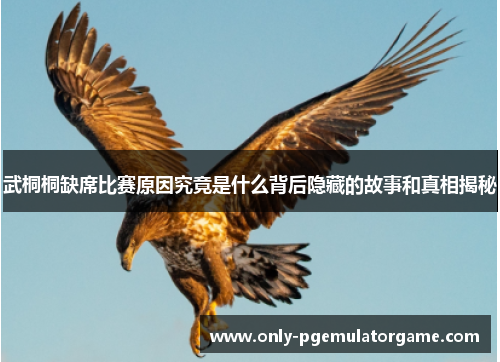武桐桐缺席比赛原因究竟是什么背后隐藏的故事和真相揭秘