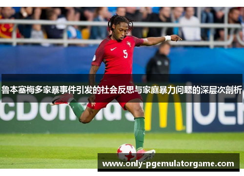 鲁本塞梅多家暴事件引发的社会反思与家庭暴力问题的深层次剖析