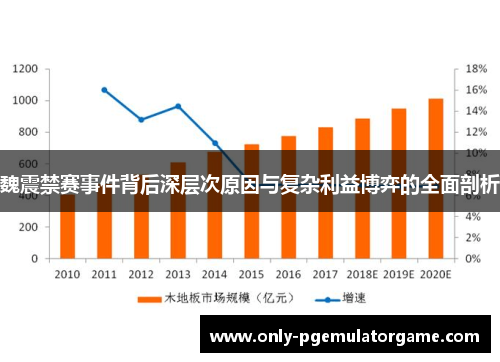 魏震禁赛事件背后深层次原因与复杂利益博弈的全面剖析