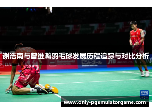 谢浩南与曾维瀚羽毛球发展历程追踪与对比分析