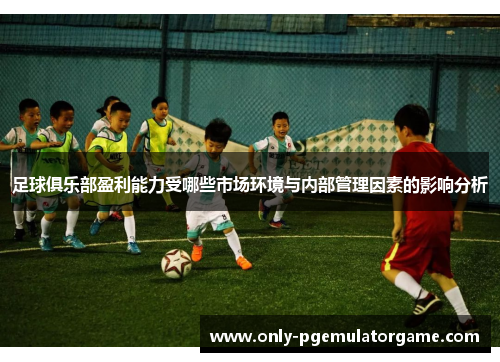 足球俱乐部盈利能力受哪些市场环境与内部管理因素的影响分析