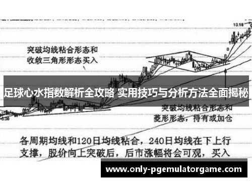 足球心水指数解析全攻略 实用技巧与分析方法全面揭秘
