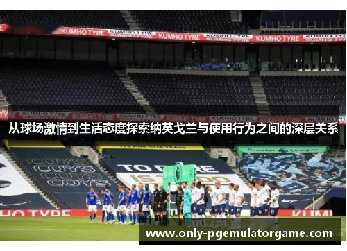 从球场激情到生活态度探索纳英戈兰与使用行为之间的深层关系