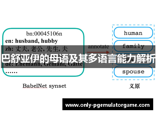 巴舒亚伊的母语及其多语言能力解析