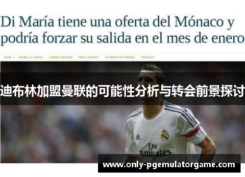 迪布林加盟曼联的可能性分析与转会前景探讨