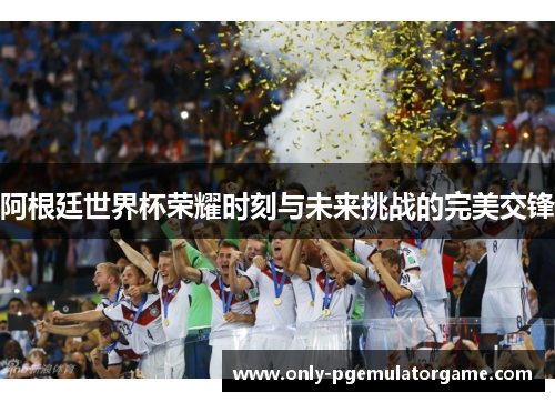 阿根廷世界杯荣耀时刻与未来挑战的完美交锋