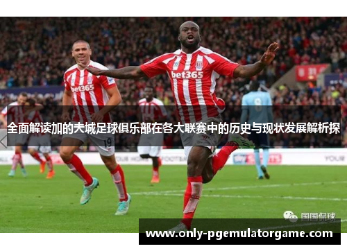 全面解读加的夫城足球俱乐部在各大联赛中的历史与现状发展解析探