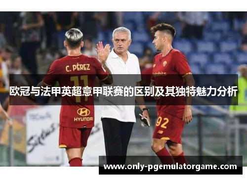 欧冠与法甲英超意甲联赛的区别及其独特魅力分析