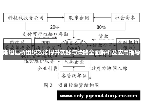斯坦福桥组织效能提升实践与策略全面解析及应用指导