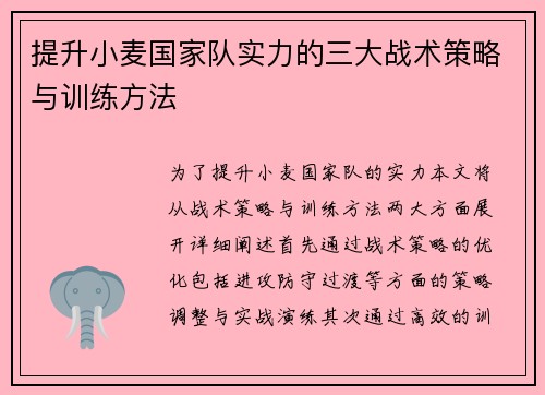 提升小麦国家队实力的三大战术策略与训练方法